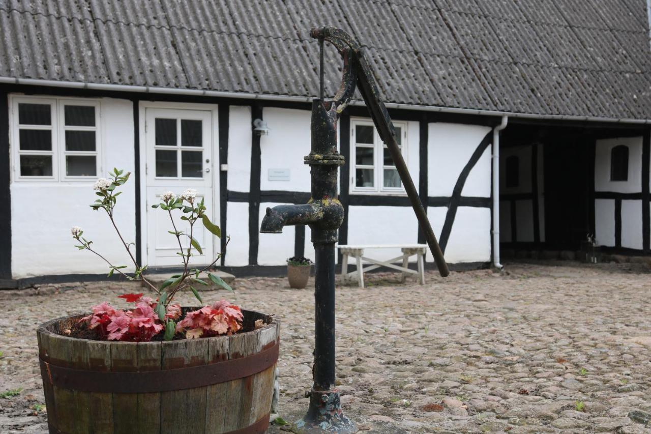 Tondegarden 3 Rooms Apartment Odense Luaran gambar